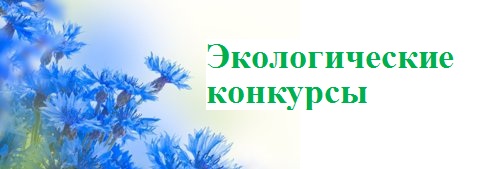 http://васильки1